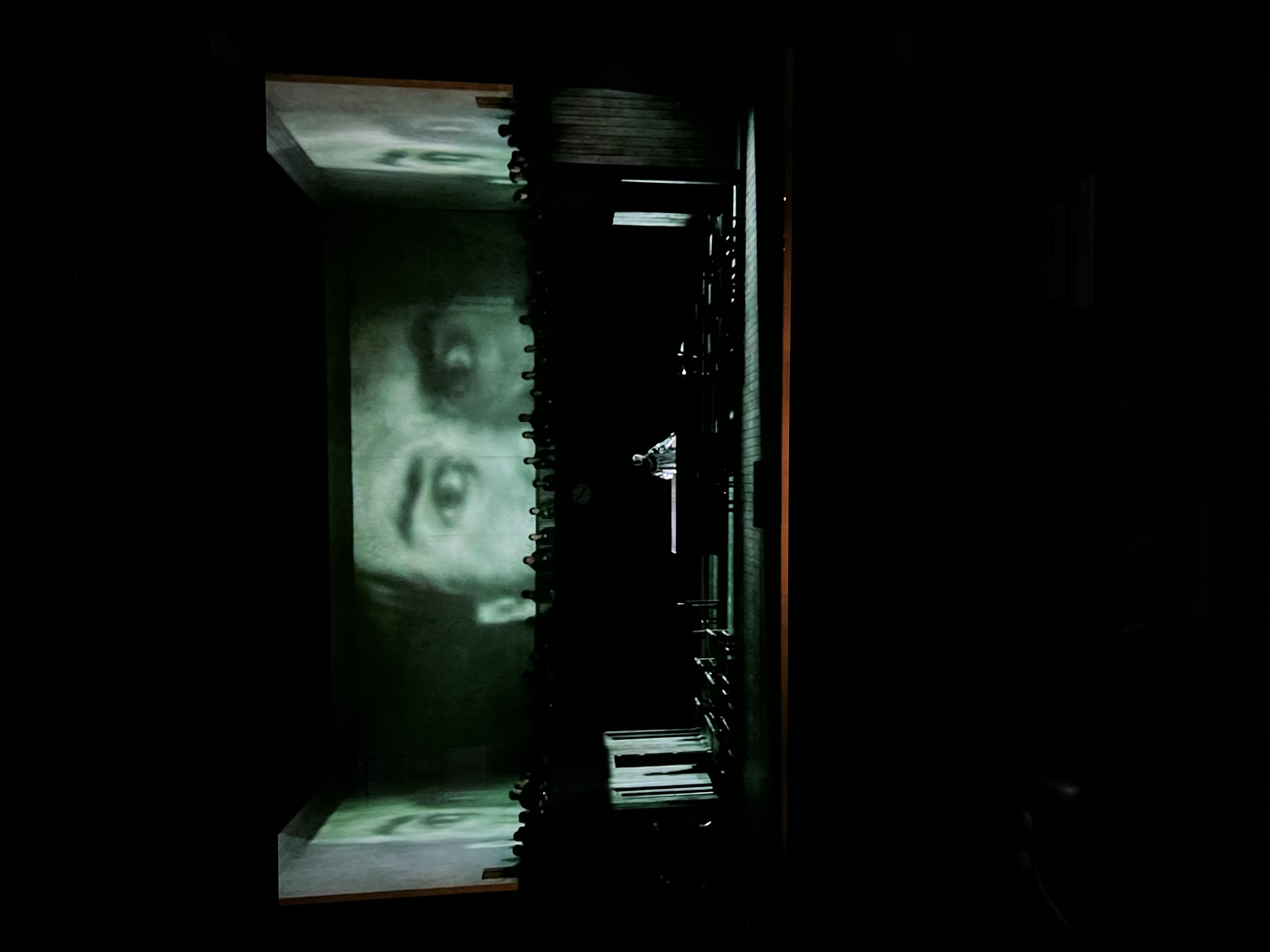 A live operatic performance featuring an audience engaged with technology