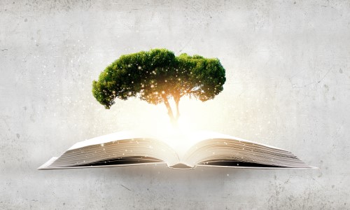 <span>Respite Care</span>