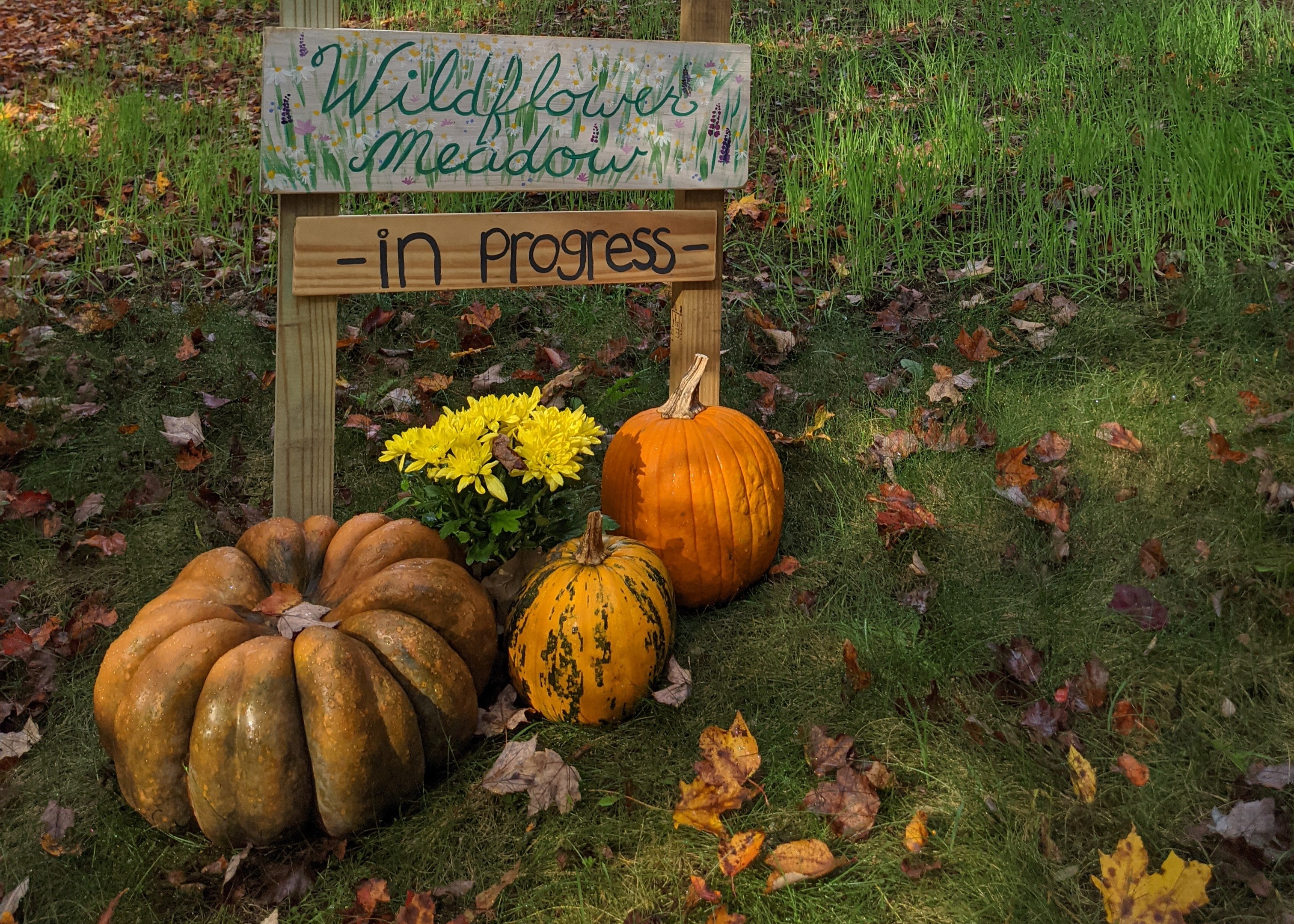 <span>What Makes Us Different</span>