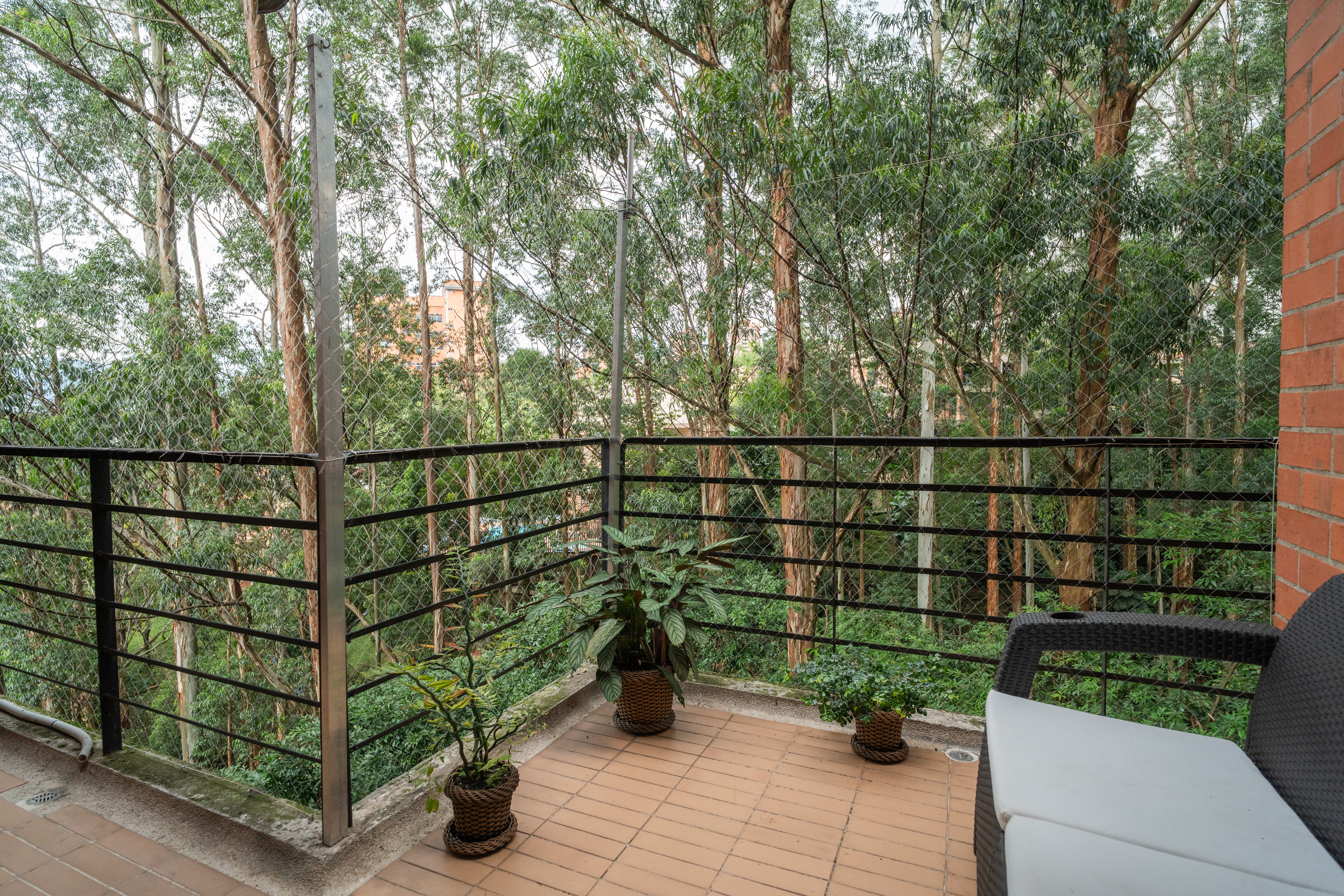 <span>Retreat Amongst the Trees in Envigado, Colombia</span>