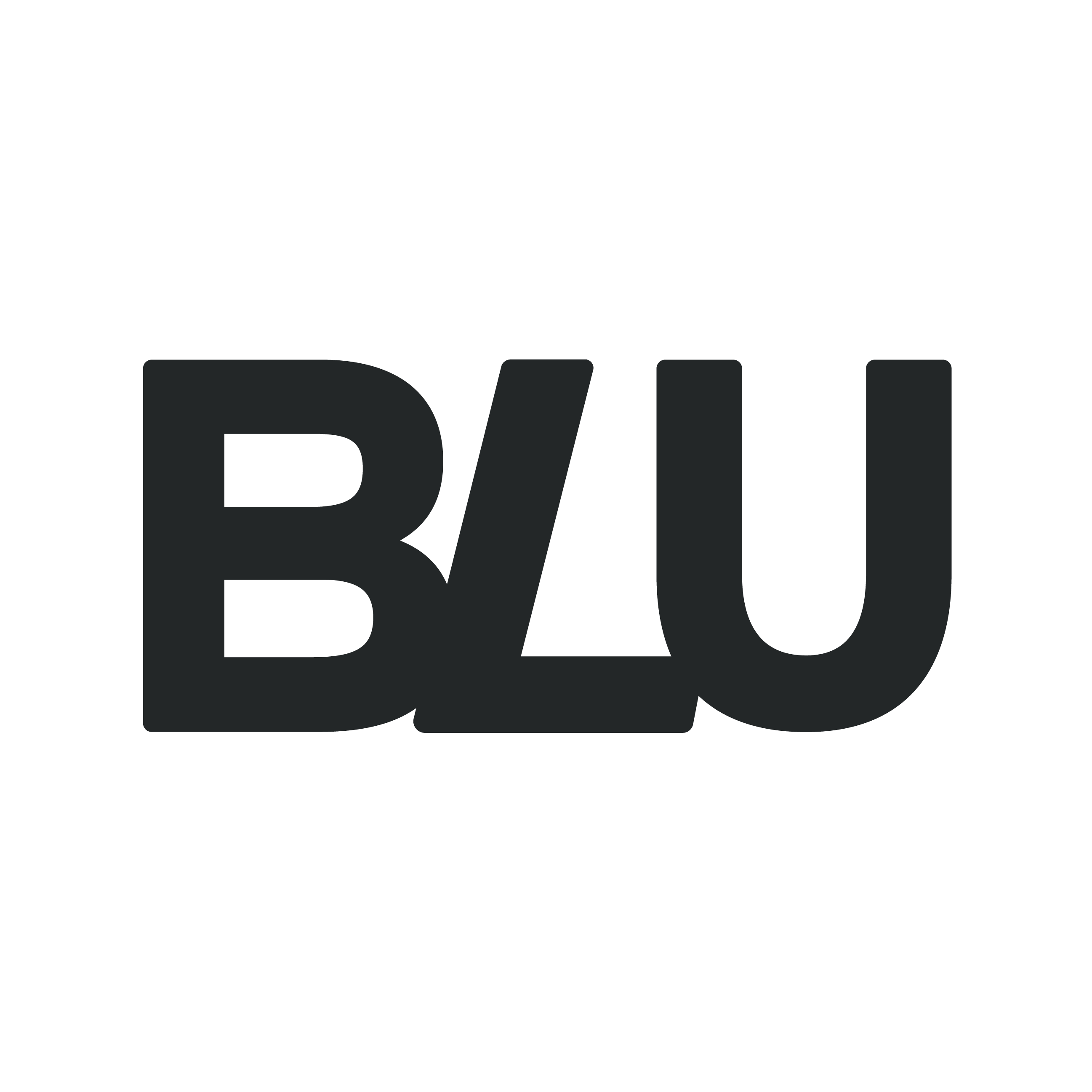 BLU Training Club logo