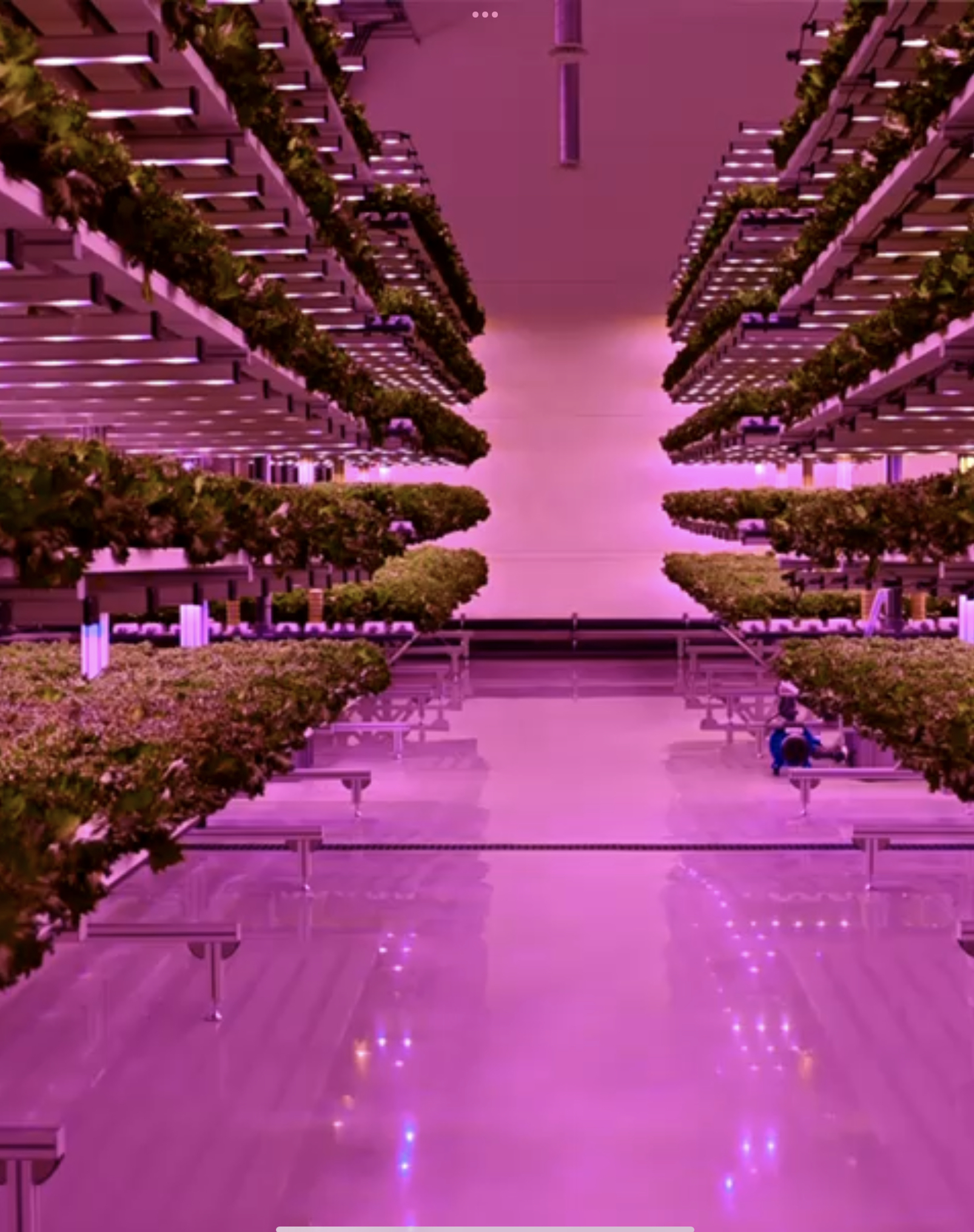    V-GrowCo