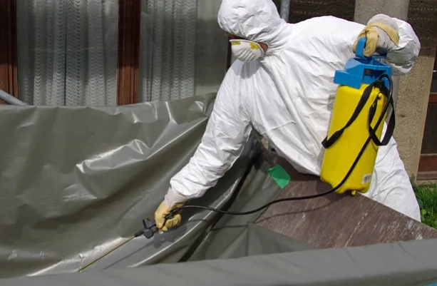 Expertise in Removal