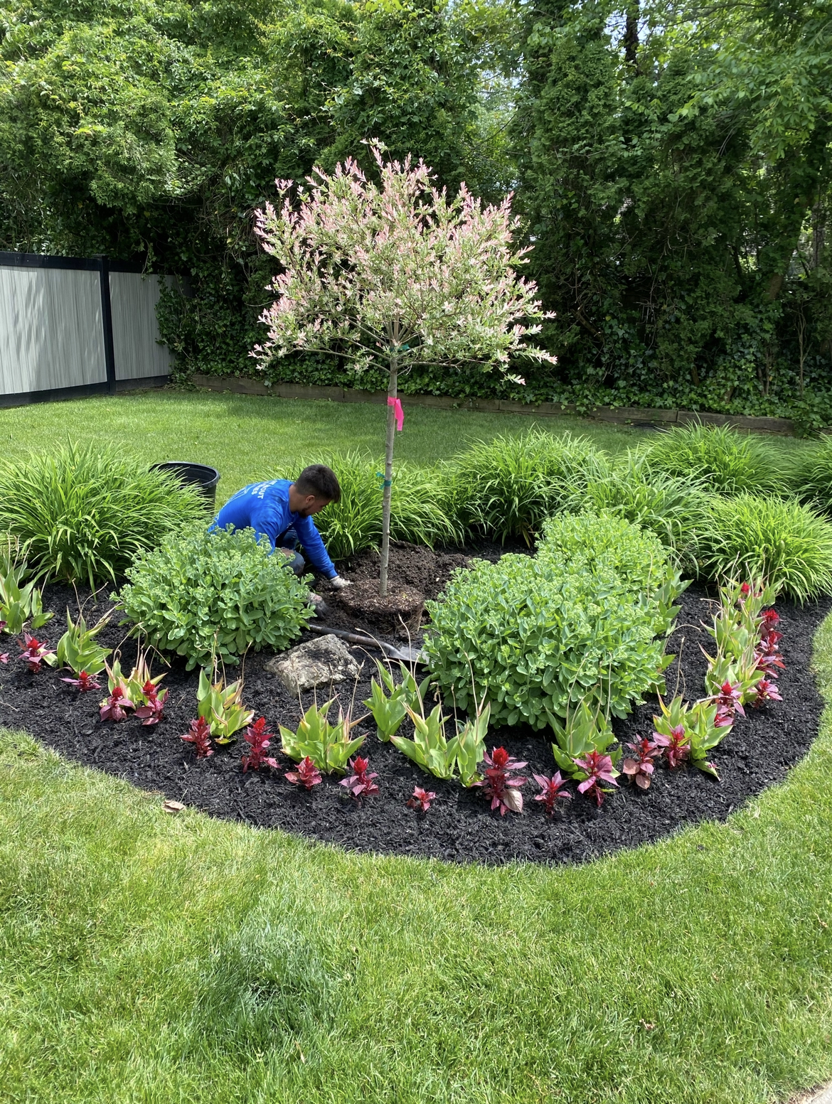 Beautiful and vibrant gardens