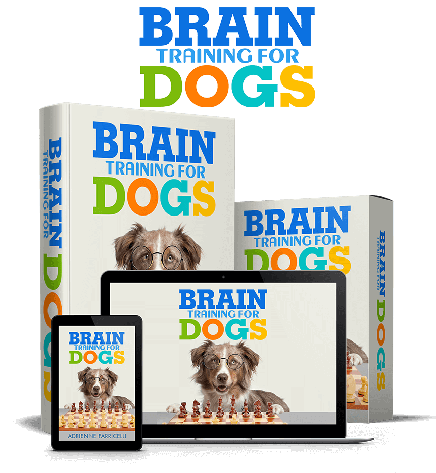Brain Training for Dogs logo