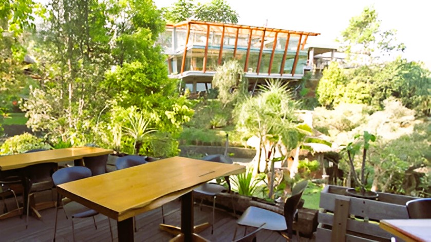 <span>Congo Gallery & Cafe</span>