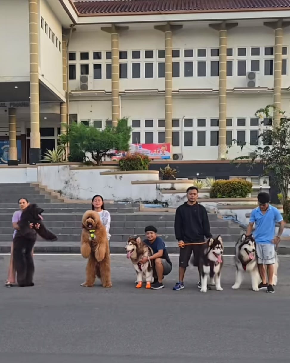 <span>Monty Family</span>