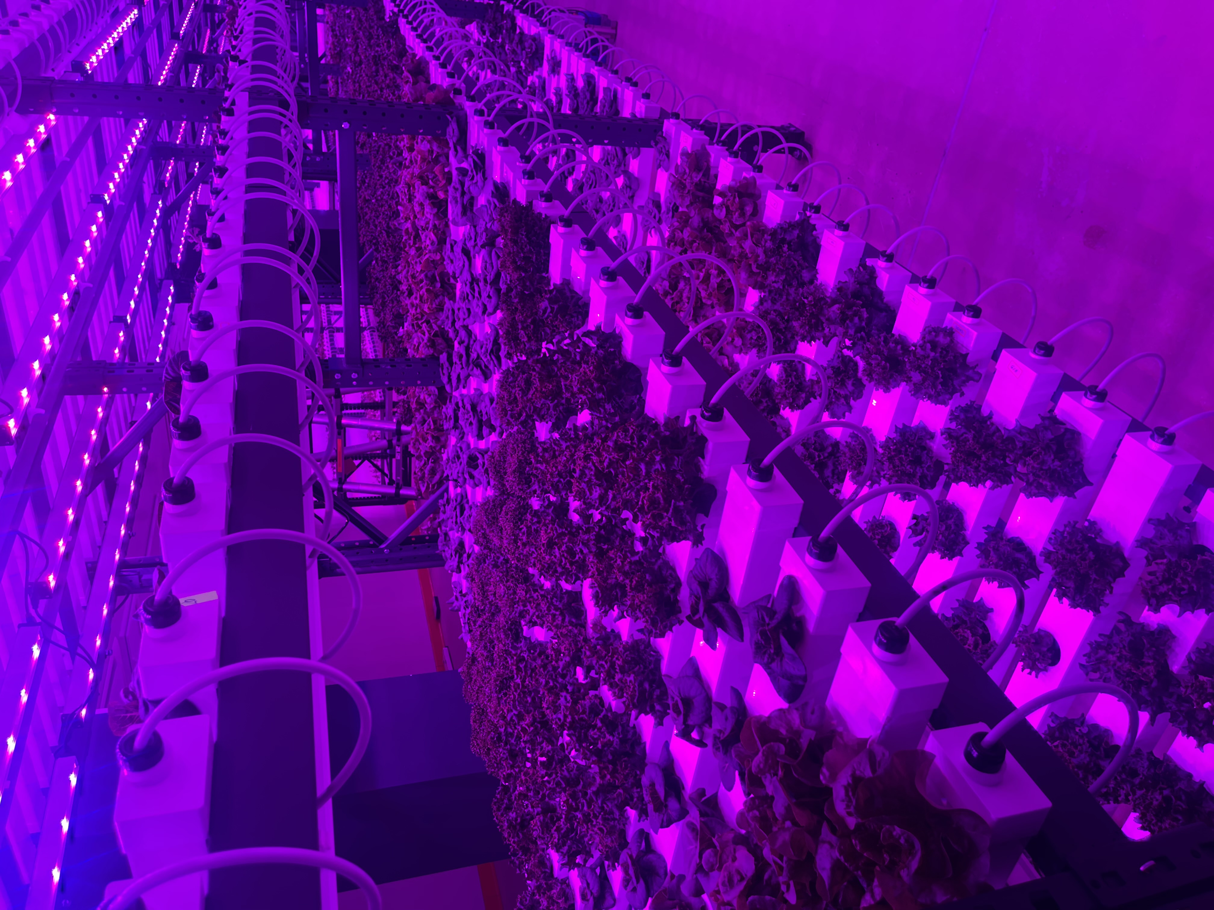    V-GrowCo