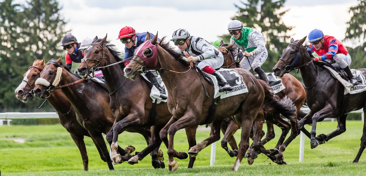 Prono Pmu Chedmedturf