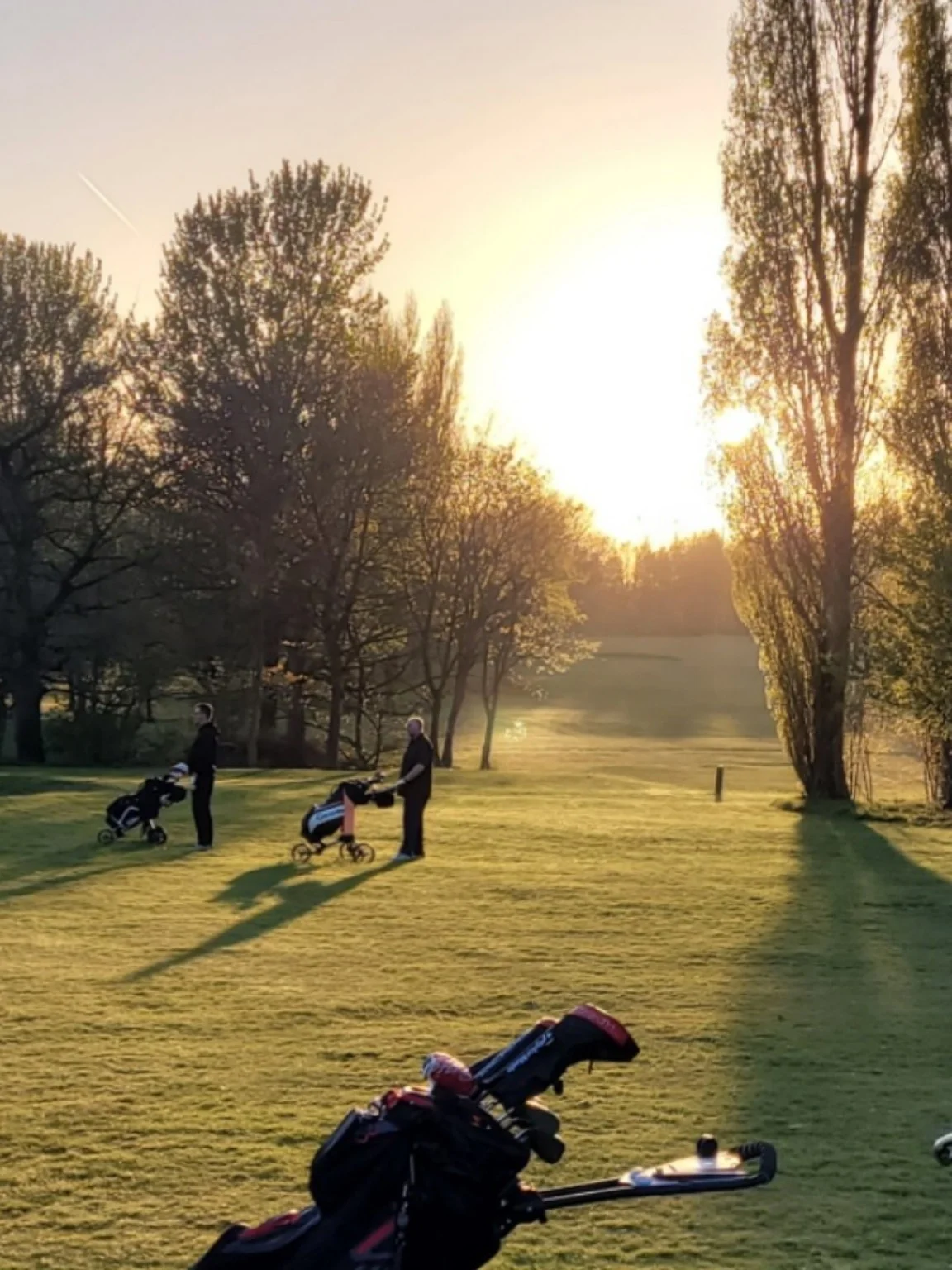 Spare Tee Golf