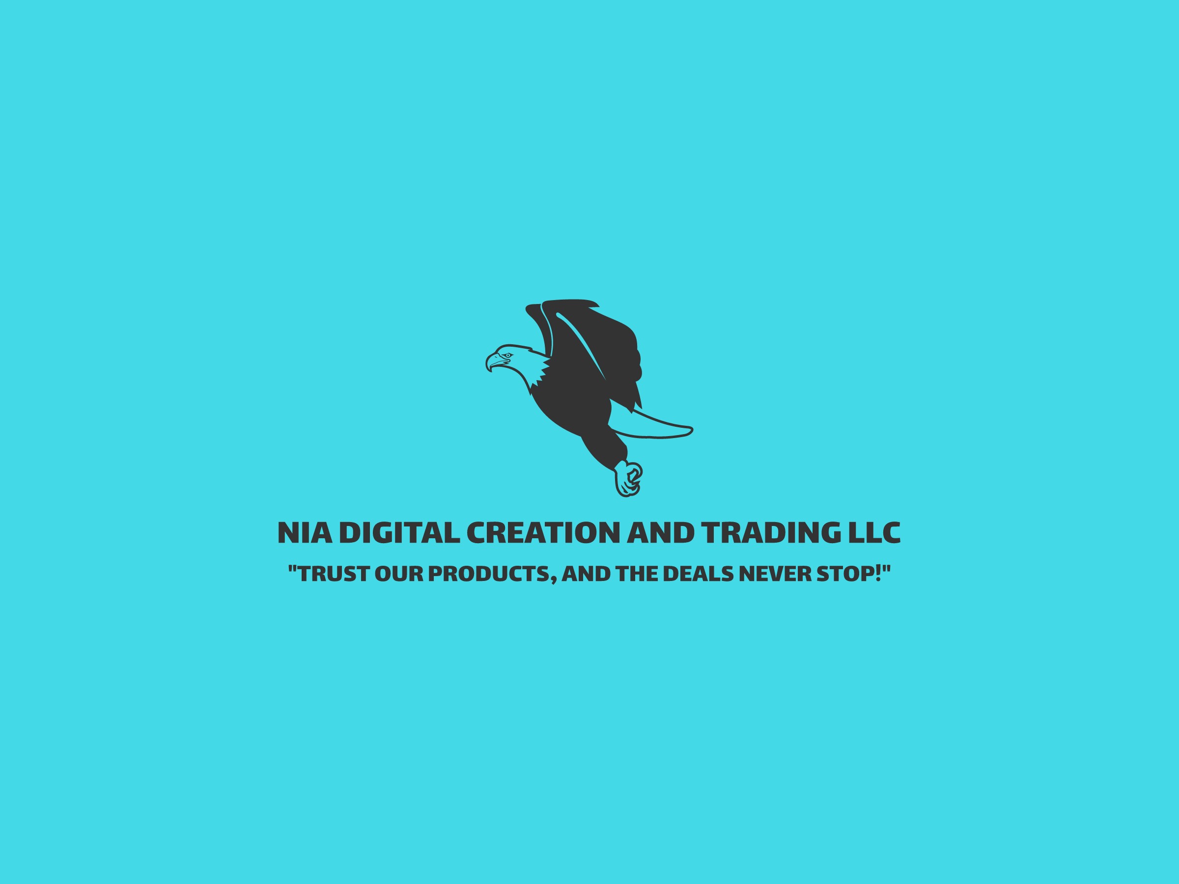 Nia Digital Creation& Trading llc logo
