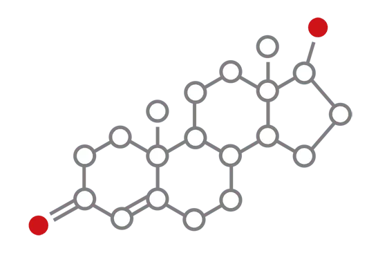 <span>⭐ Why Men Choose Testosil</span>