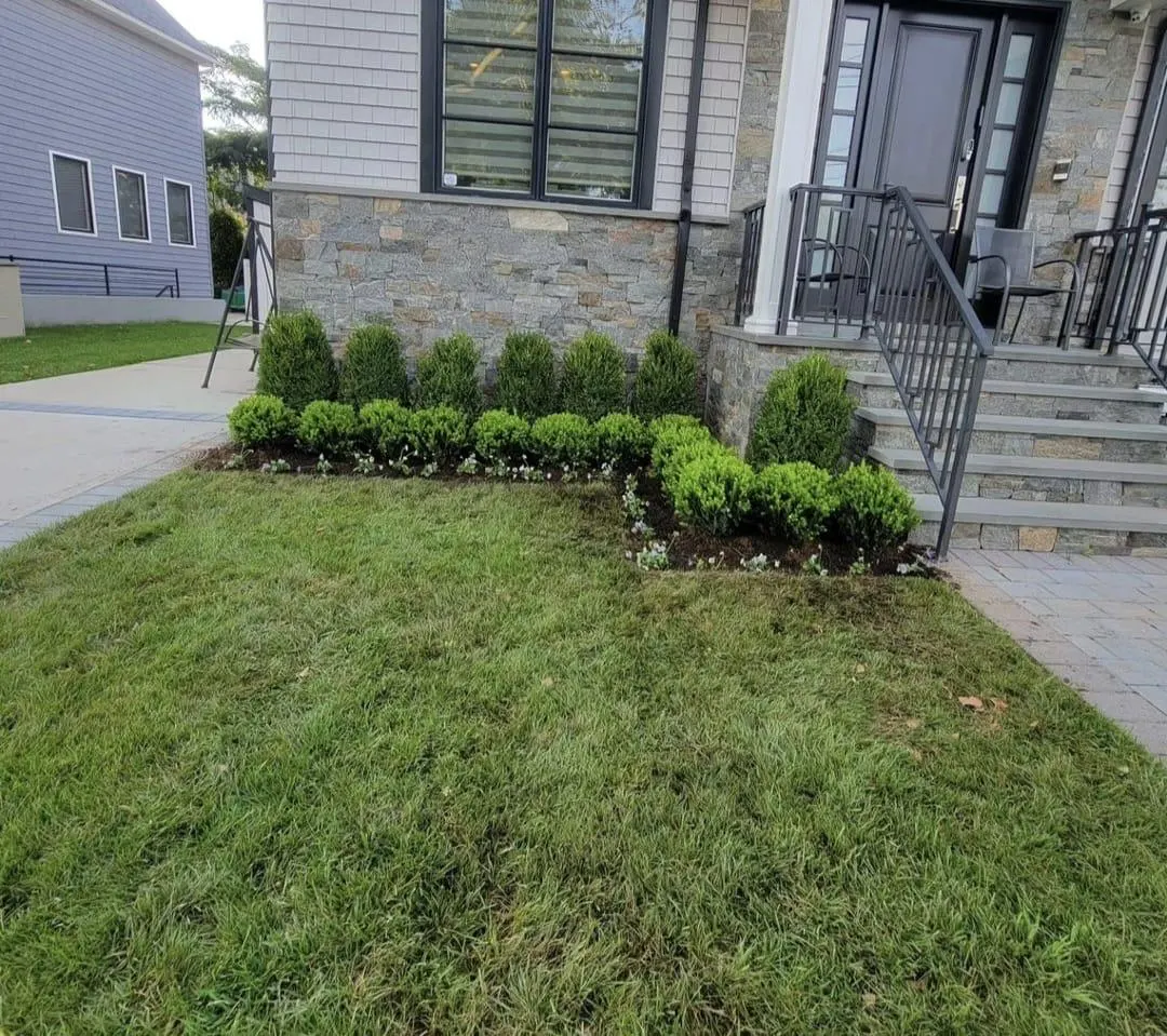The Lawn Guys Landscaping