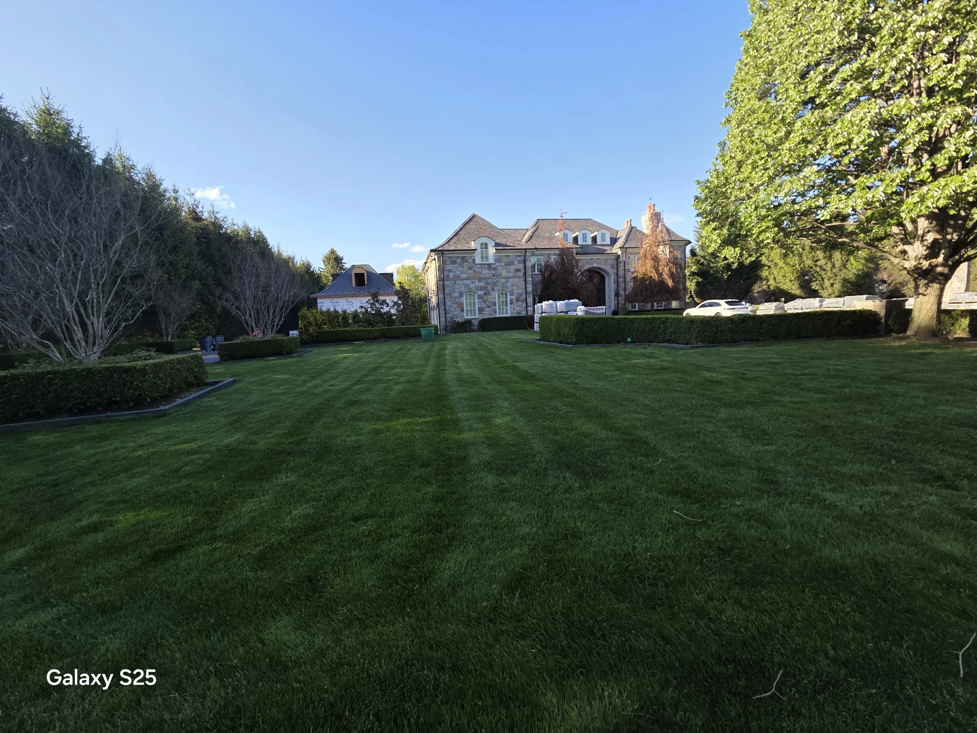 Lawn maintenance