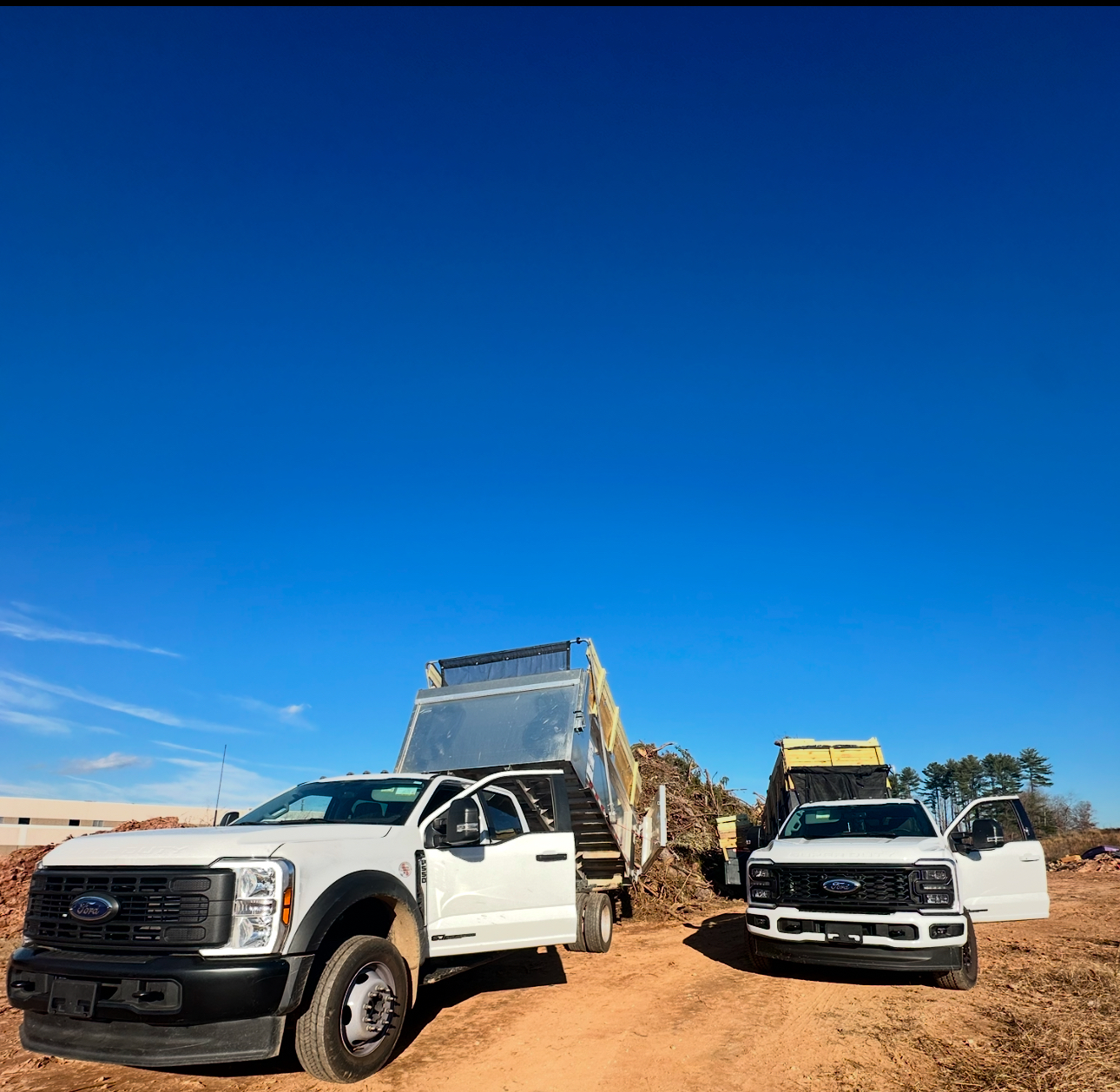 <span>Dumpster Rental Services You Can Count On</span>