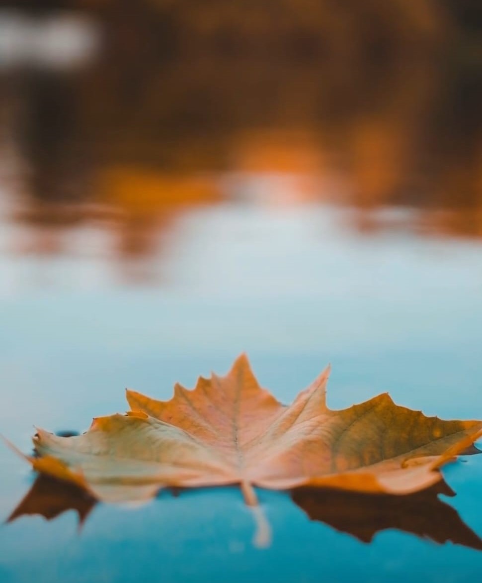 <span>Change in Season </span>