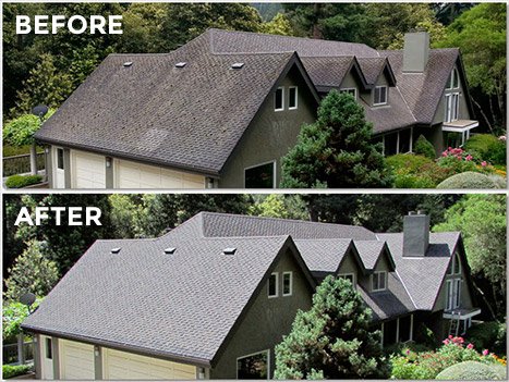 <span>Safe and Effective Roof Washing</span>