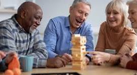 Independent Living Support