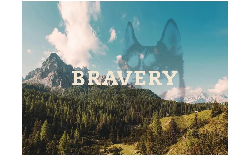 <span>Bravery Pet Food Indonesia</span>