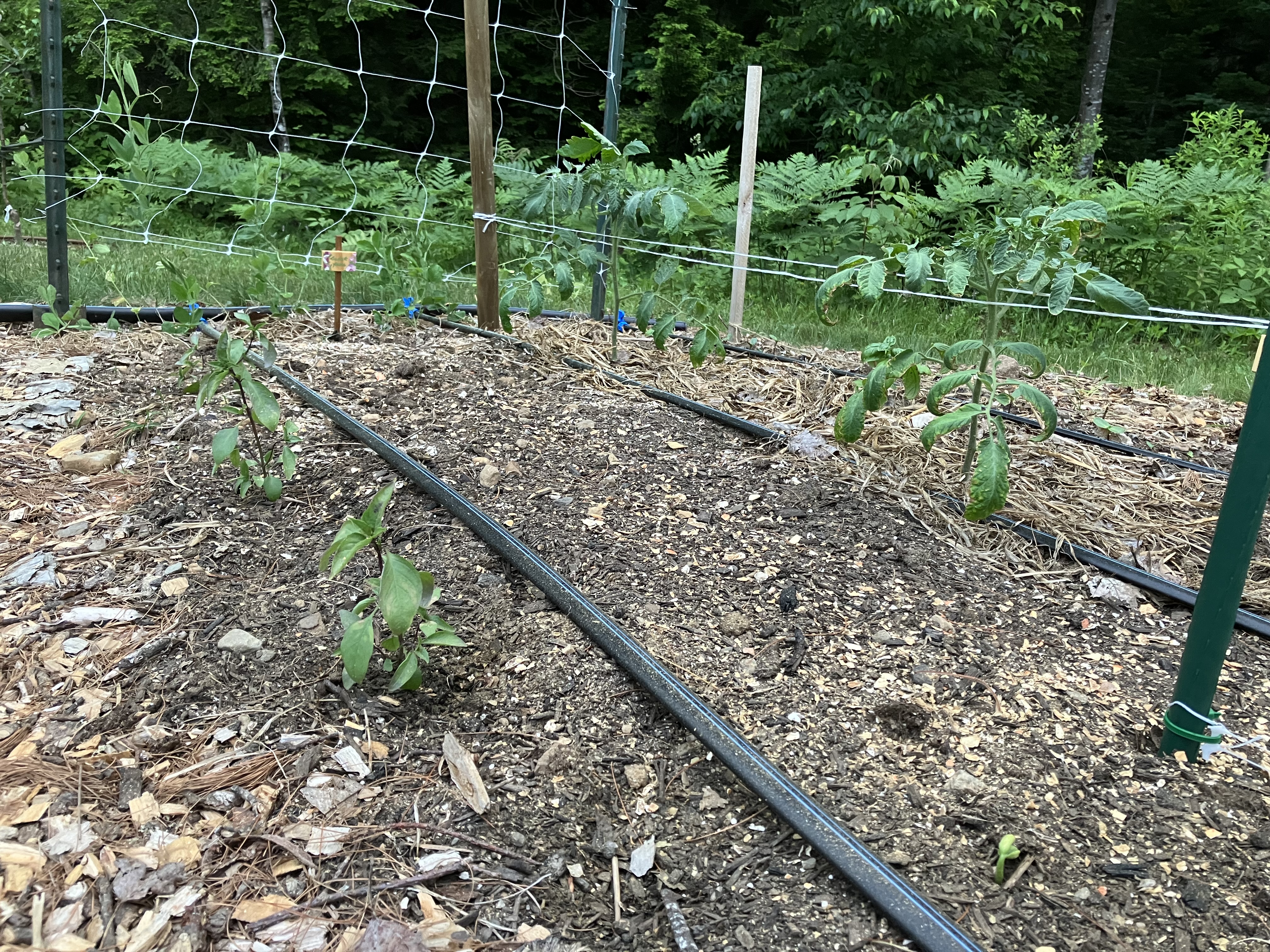 <span>Residential Drip Irrigation Systems</span>