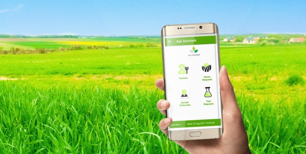 Mobile and Web App Development