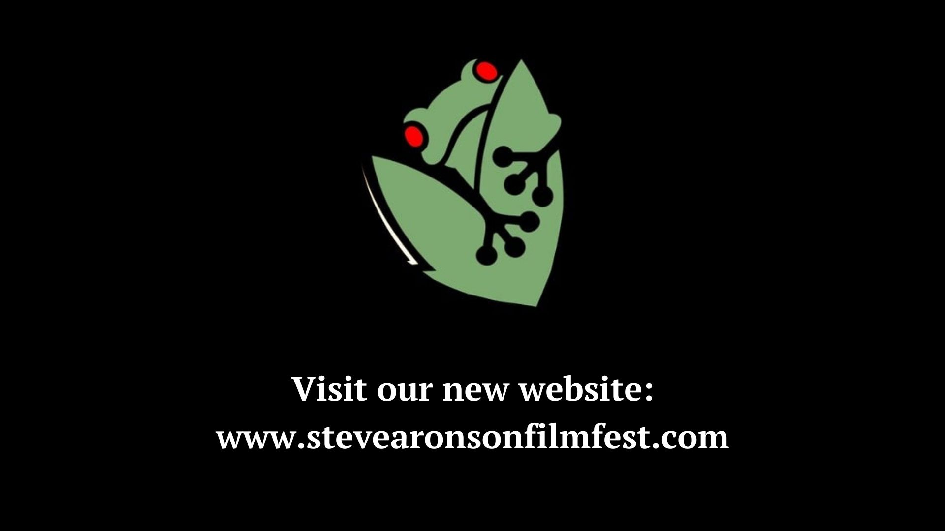 Steve Aronson International Film Festival