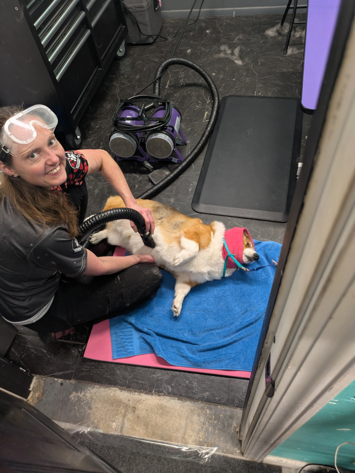 Comfort and Care