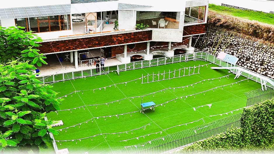 <span>Kichi Dog Hub</span>