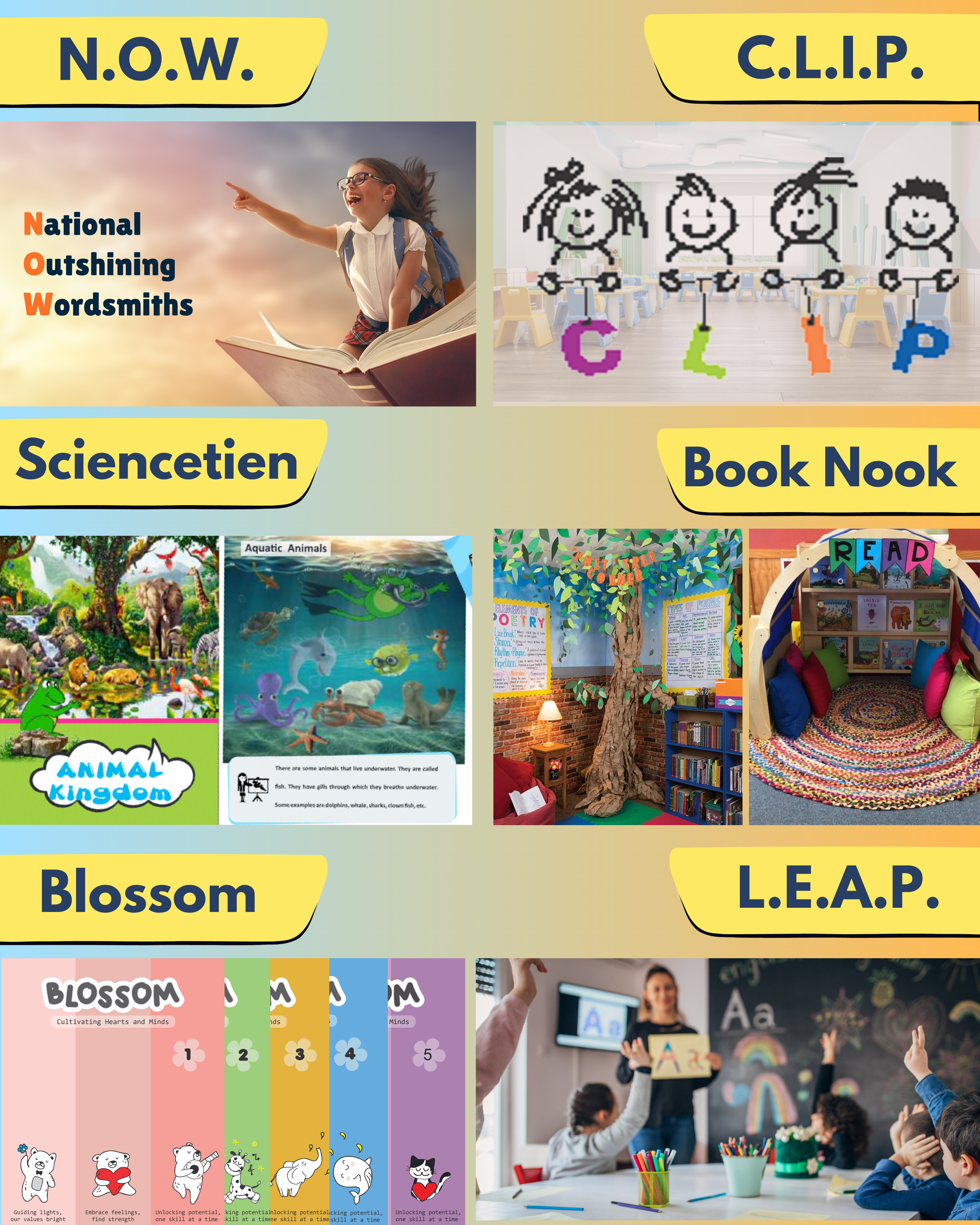 <span>Our Programs</span>