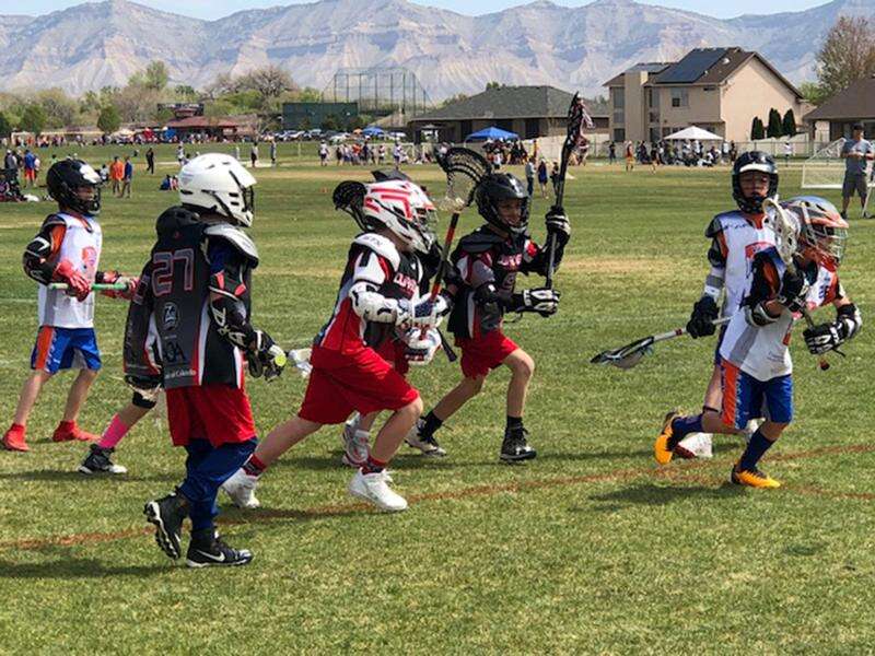 Multi-Sport Coverage