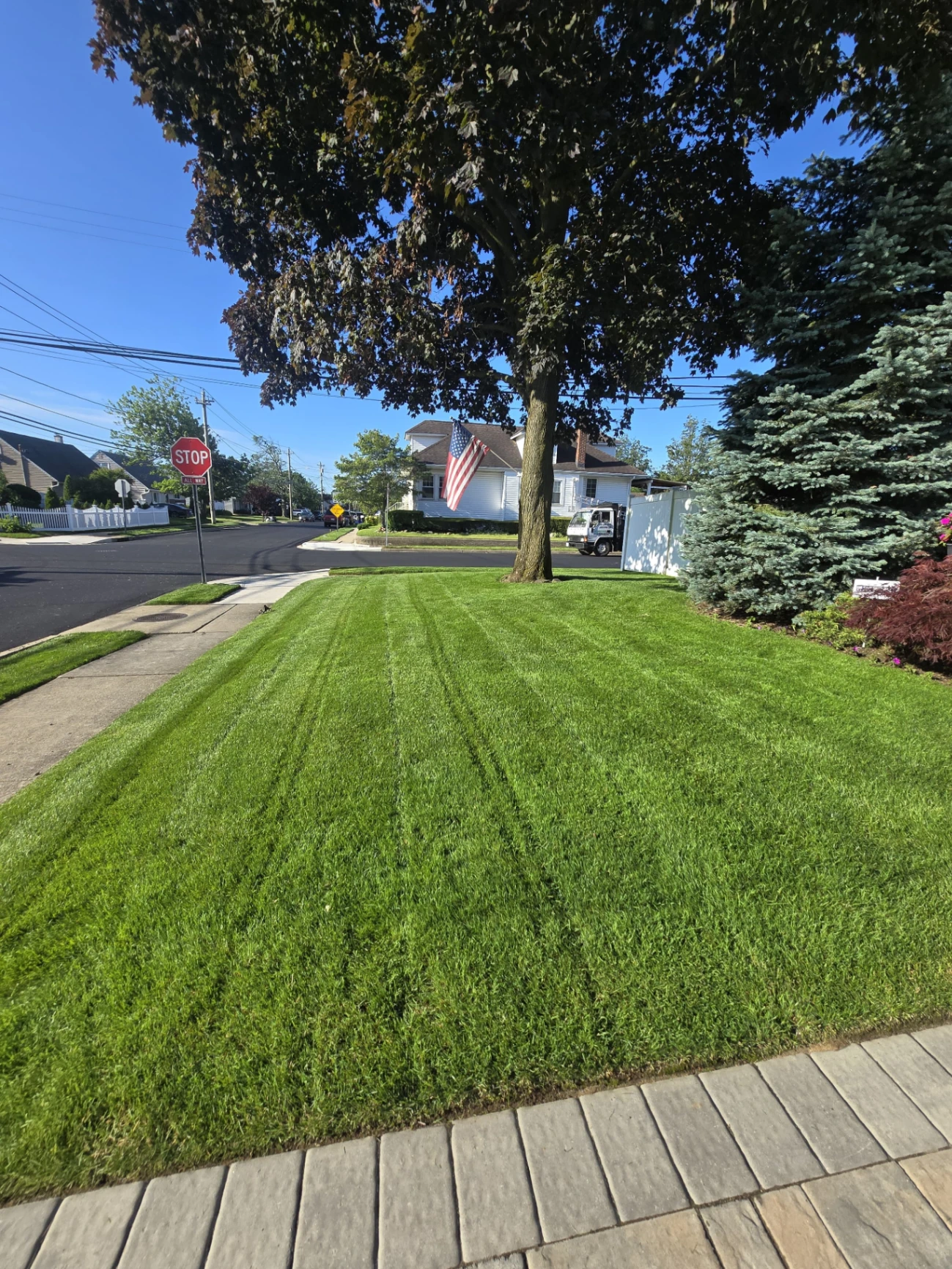 Quality Lawn Maintenance