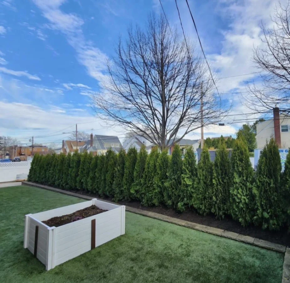 Image of Expert Landscape Design Solutions