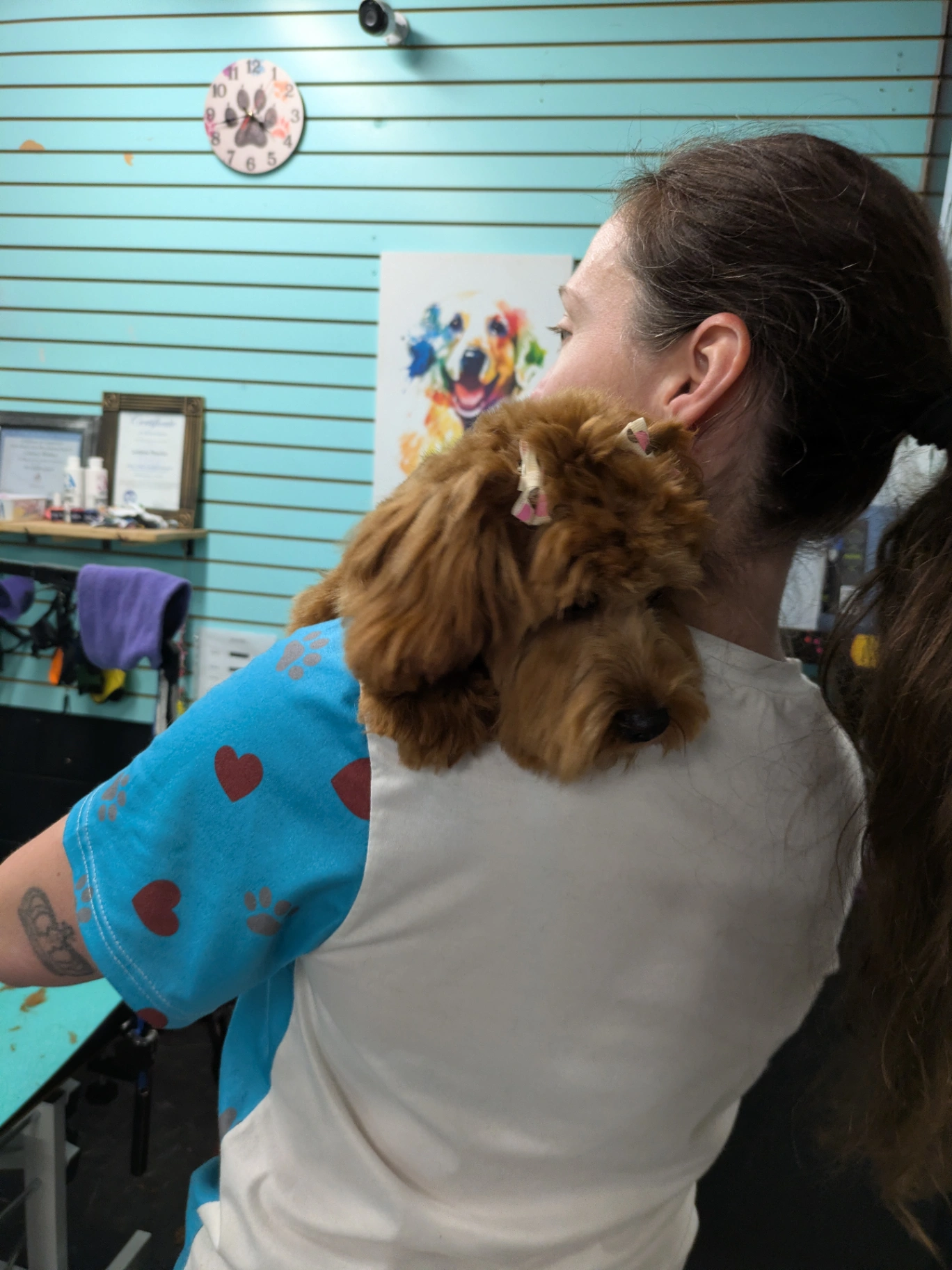 EVERY DOG Grooming
