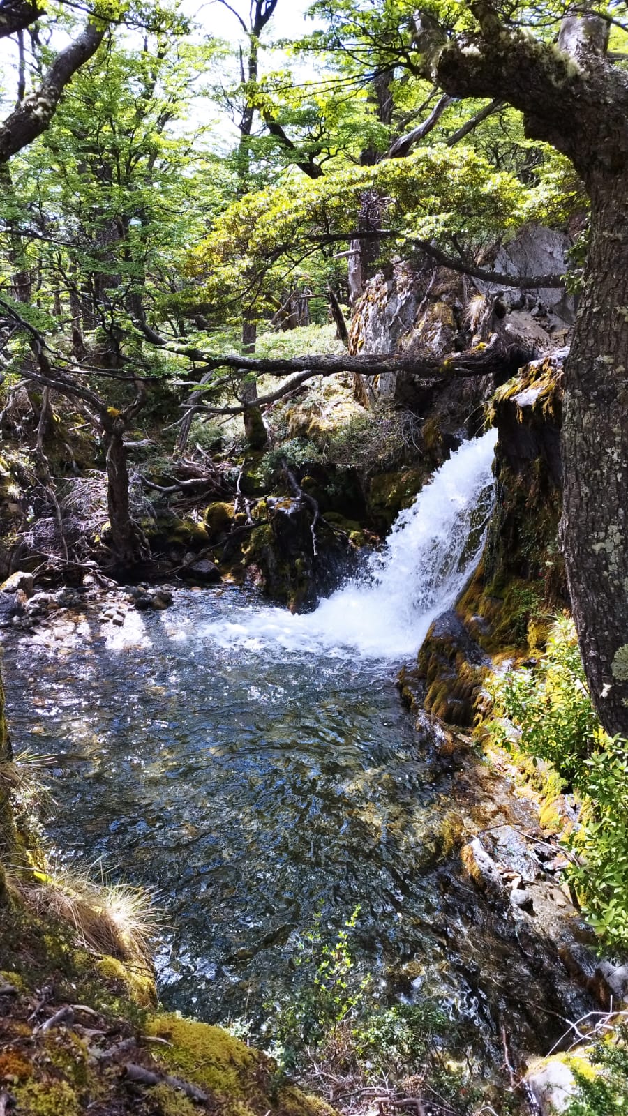 <span>Descubrir nuevos lugares a través de sus paisajes sonoros</span>