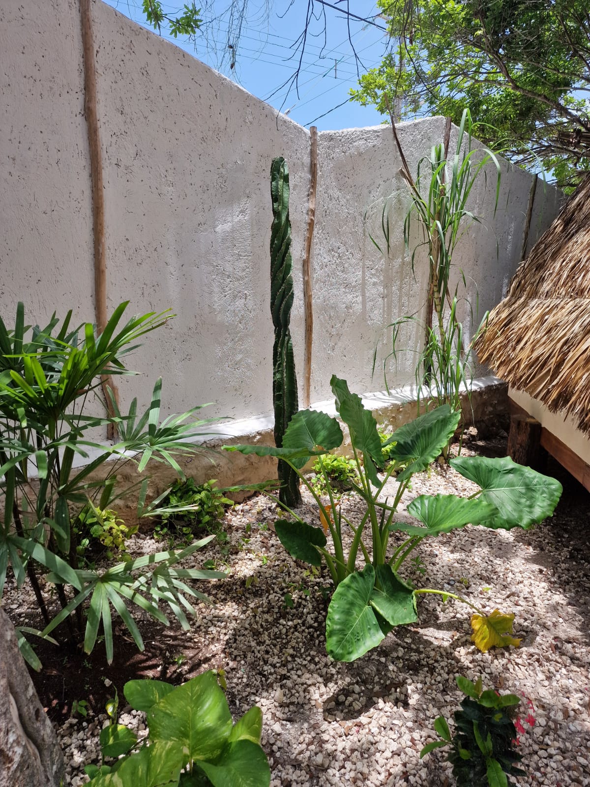 <span>Experience pure nature</span>