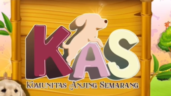 <span>Komunitas Anjing Semarang</span>