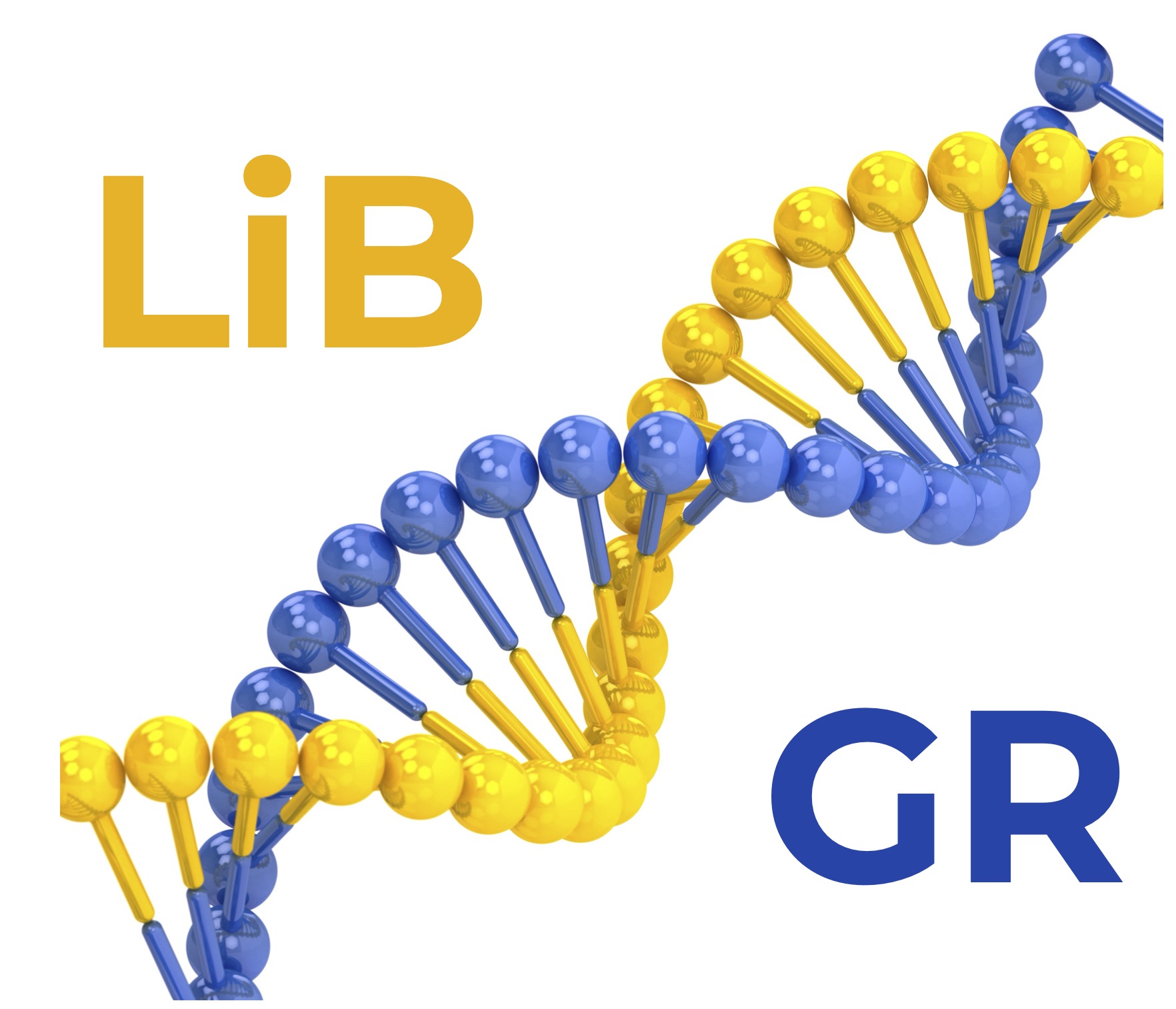 LiB-GR logo