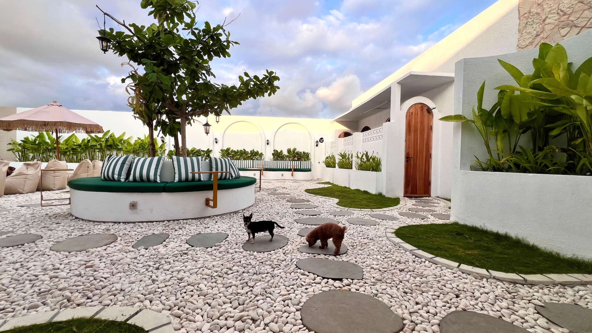 <span>Bali Pet Nirvana</span>