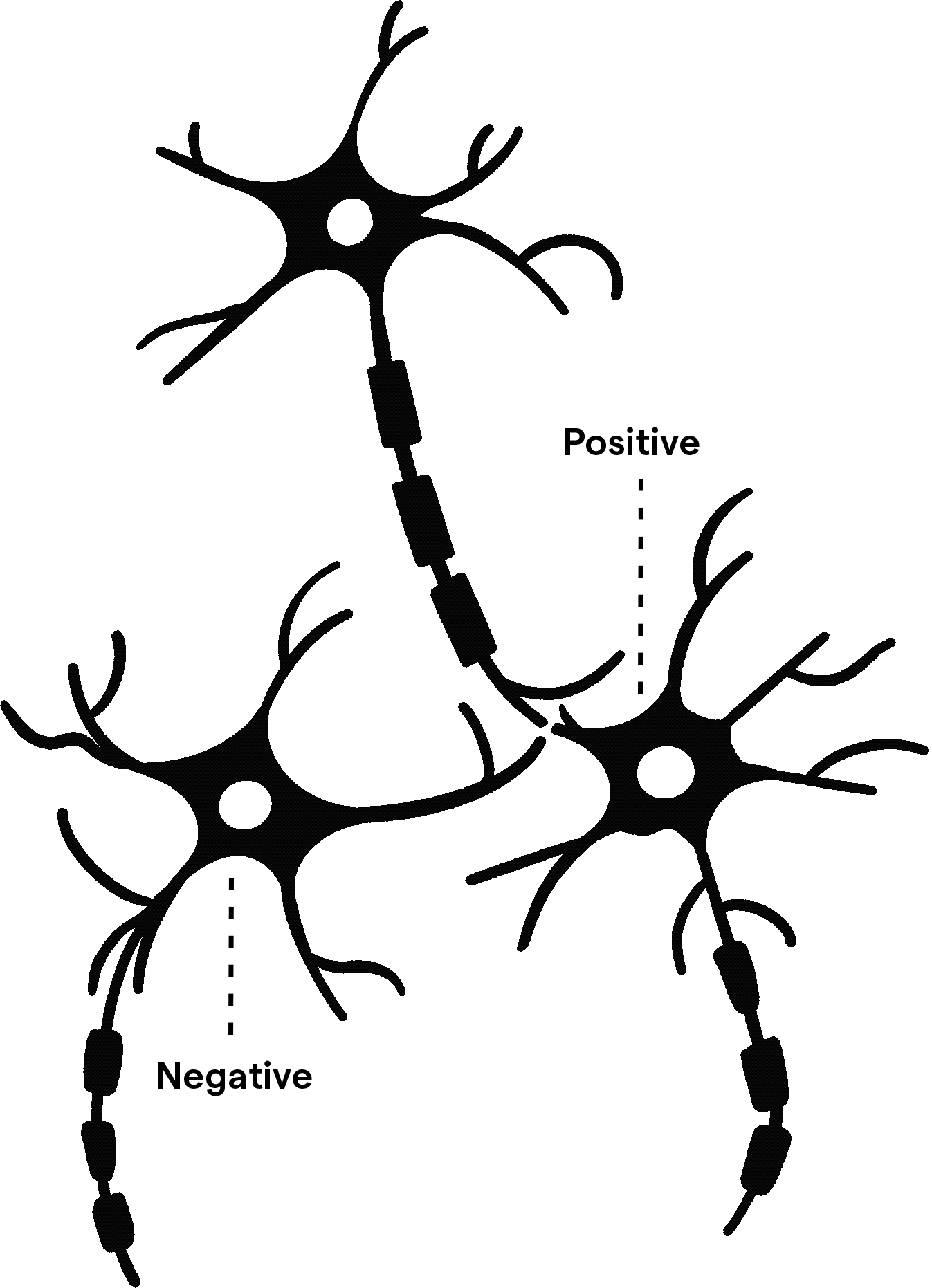 <span>What is Positive Intelligence?</span>