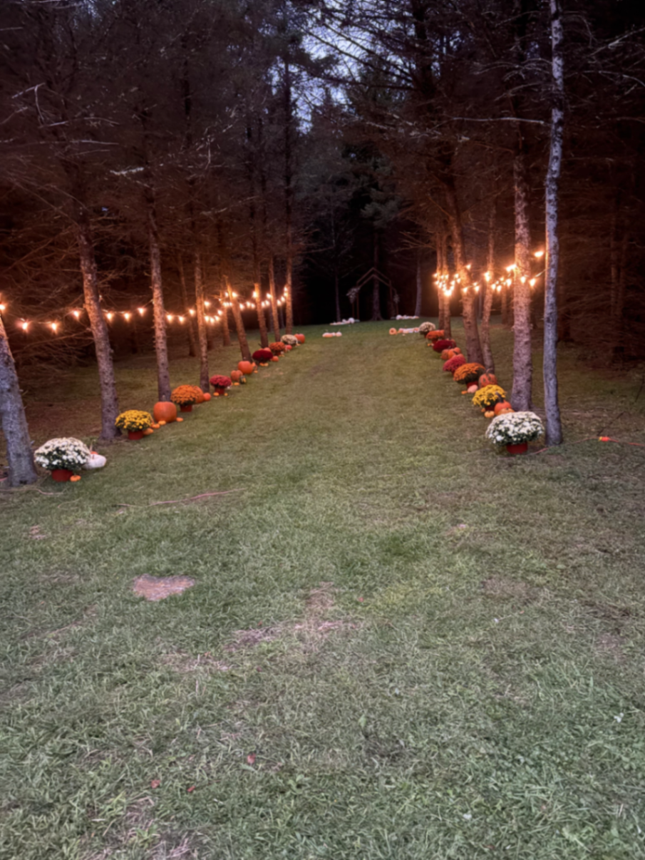 Twinkling Lights Ambiance