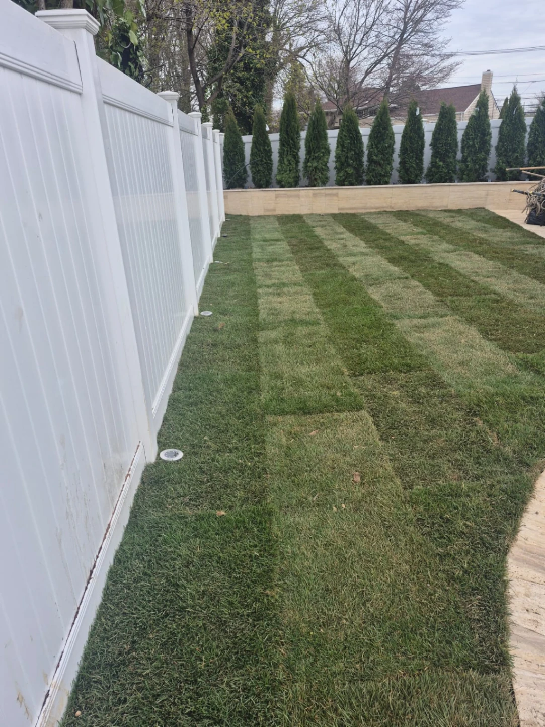 Year-Round Lawn Maintenance