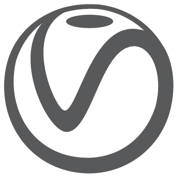 VICTORY SERVICE PROVIDER logo