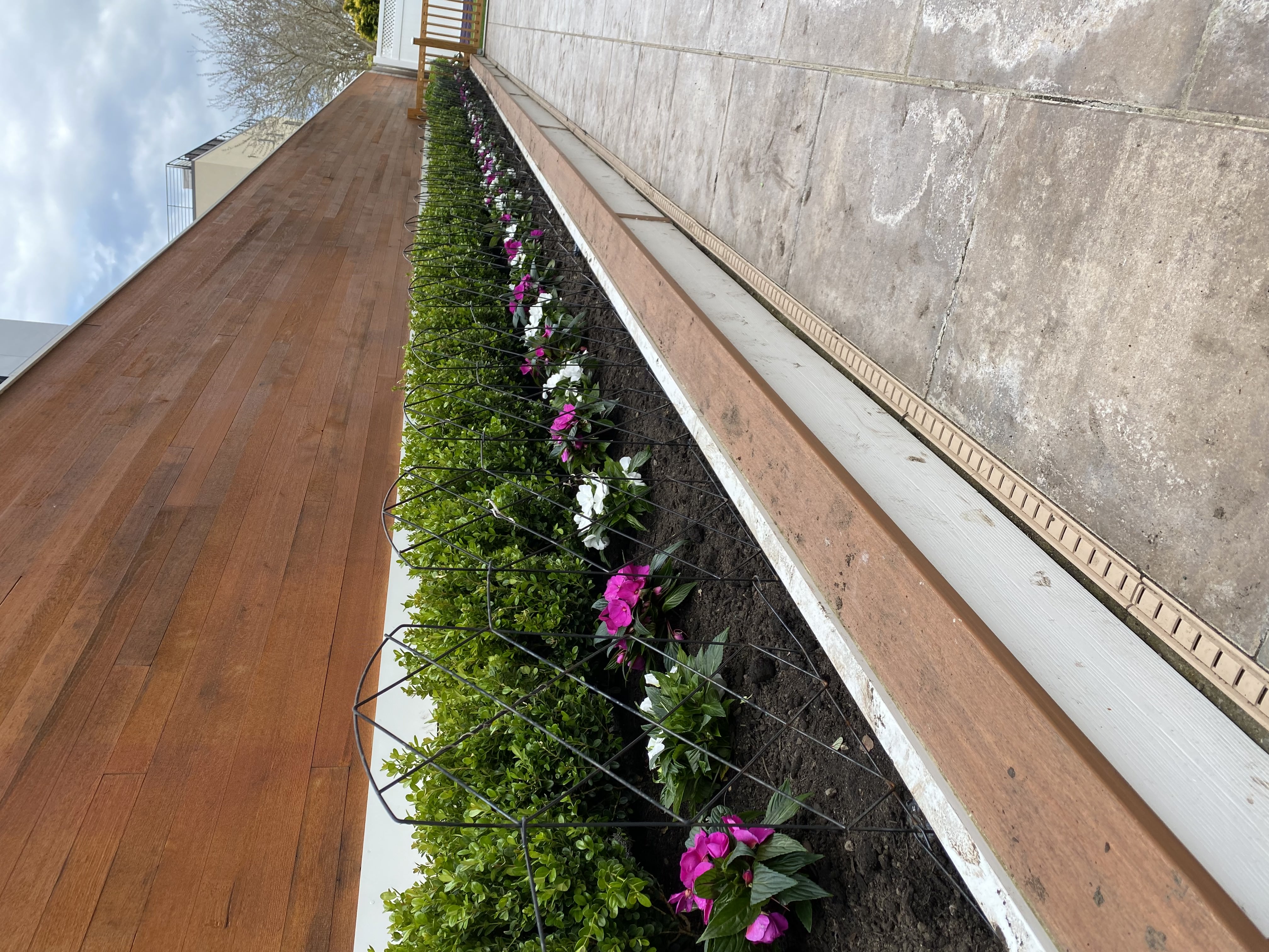 Flower Planting and Maintenance