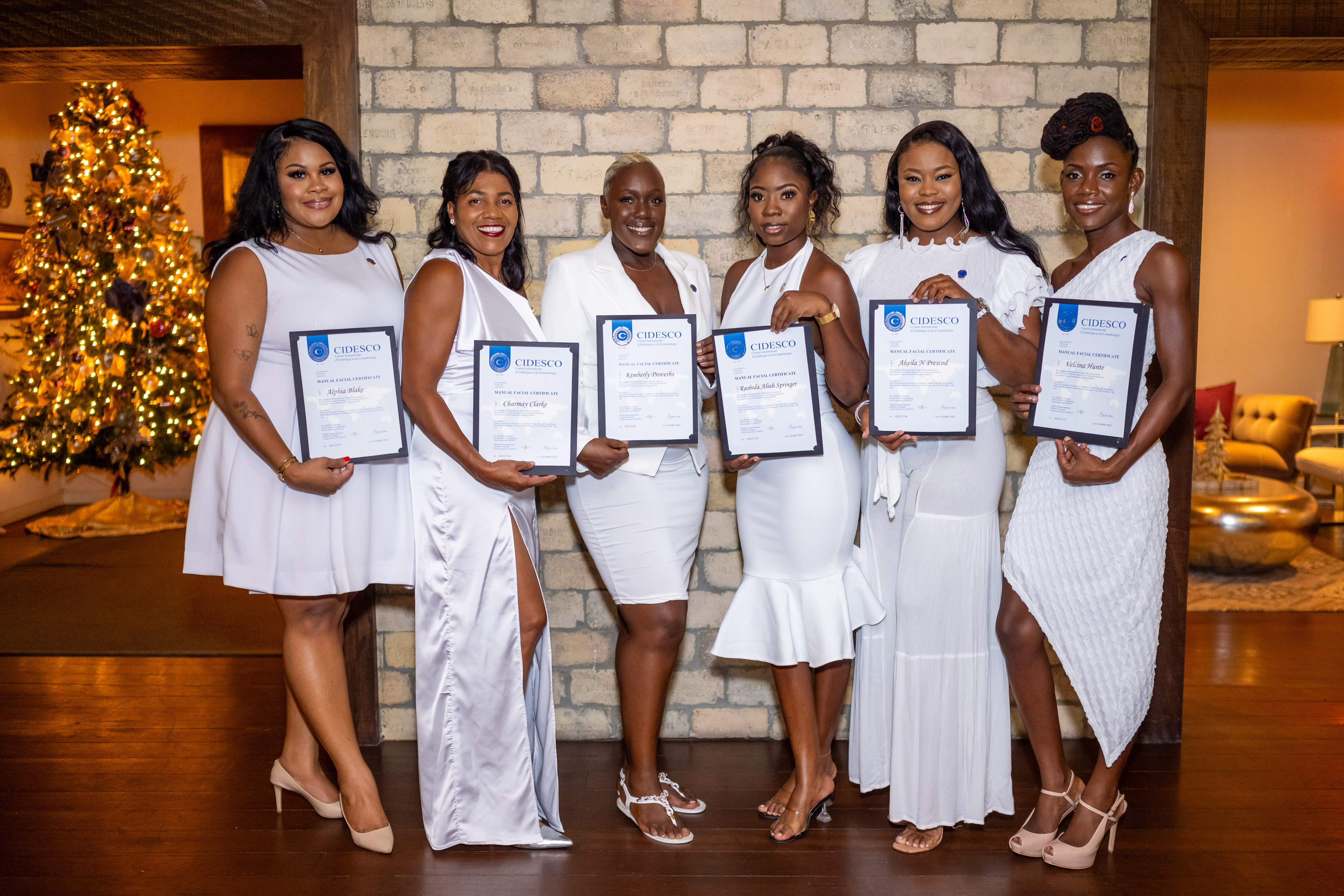 <span><span style="color:rgb(255, 138, 216)">Welcome to Barbados Premier Aesthetics Institute, CIDESCO First Accredited Institute.</span></span>