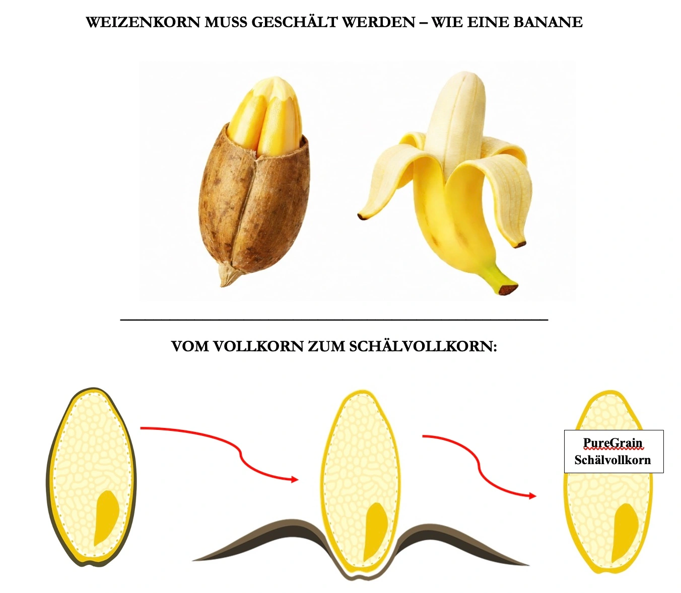 <span>Warum wir das PureGrain Verfahren entwickelt haben</span>