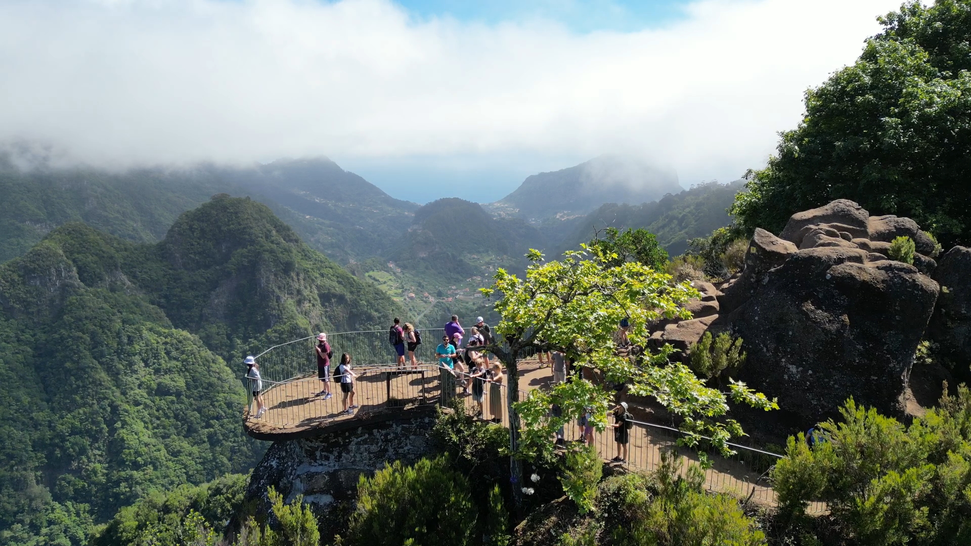 Explore Major Levada Hike Transfers