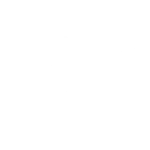 Academia del Espíritu Santo logo