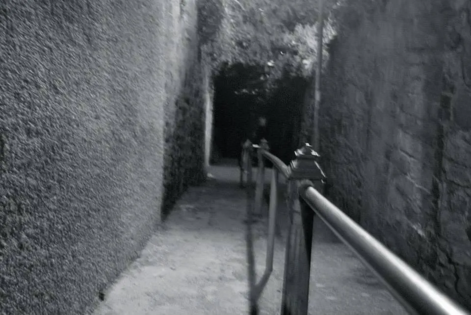 Newry City Tours