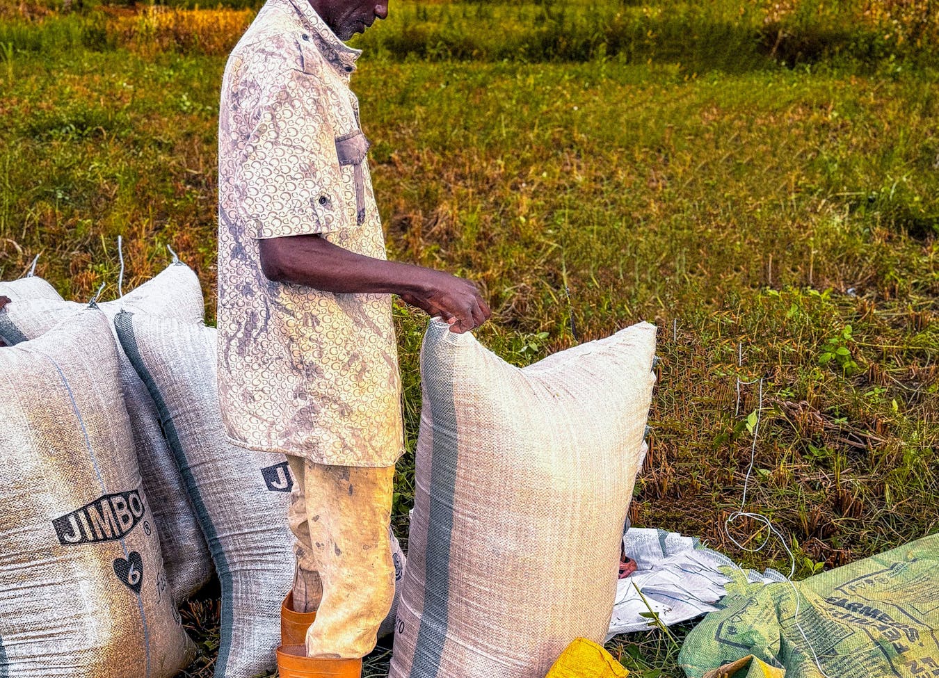<span>AFRICA FOR <span style="color:#5acf00">CHANGE</span></span>