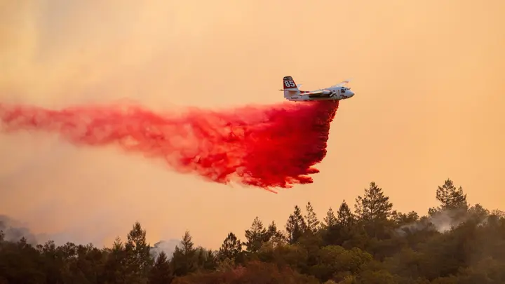 Firefreela
